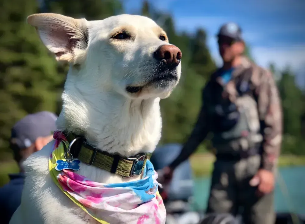 Kenai fishing guide trip photo 20