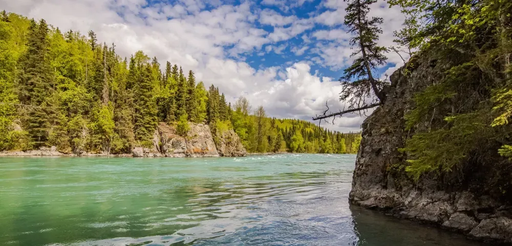 Kenai fishing guide trip photo 19