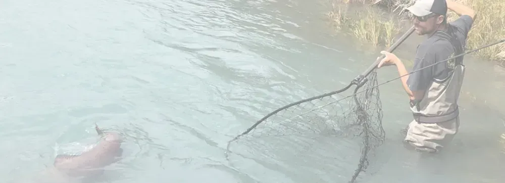 Kenai fishing guide trip photo 2