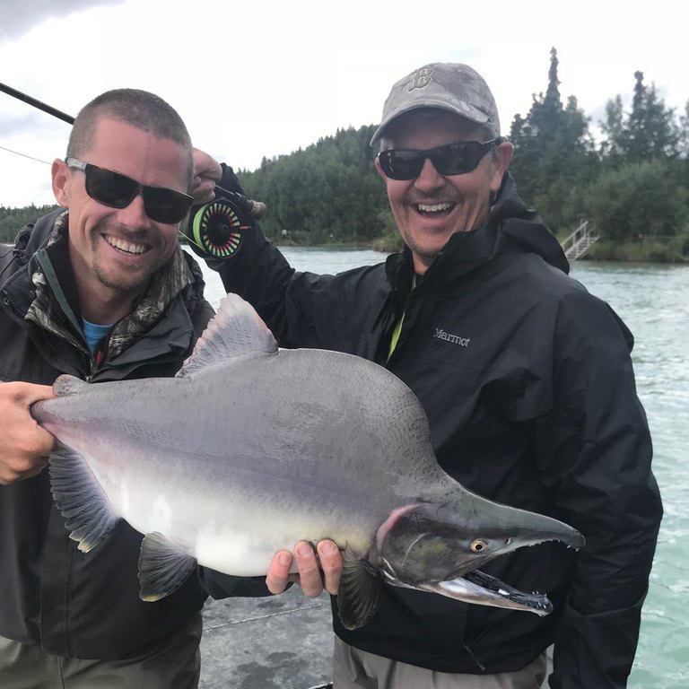 Kenai River Pink Salmon - Kenai Fly Fish