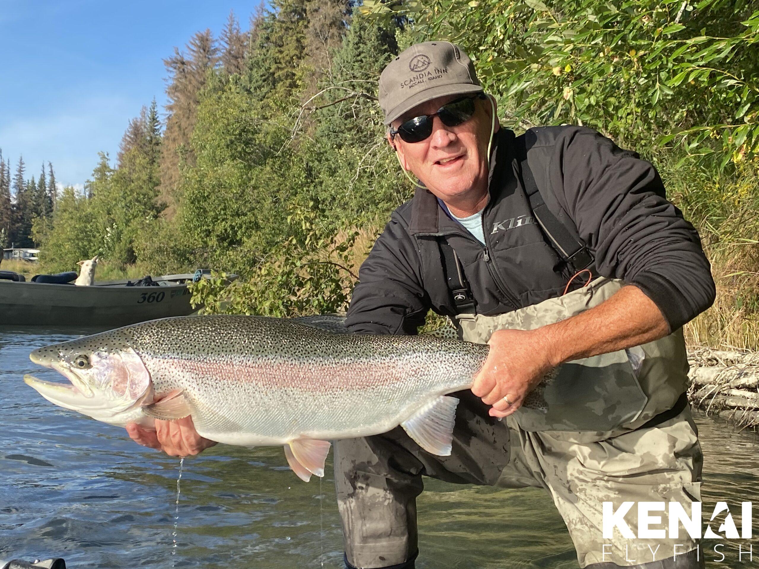 Rainbow Trout Photos - Kenai Fly Fish