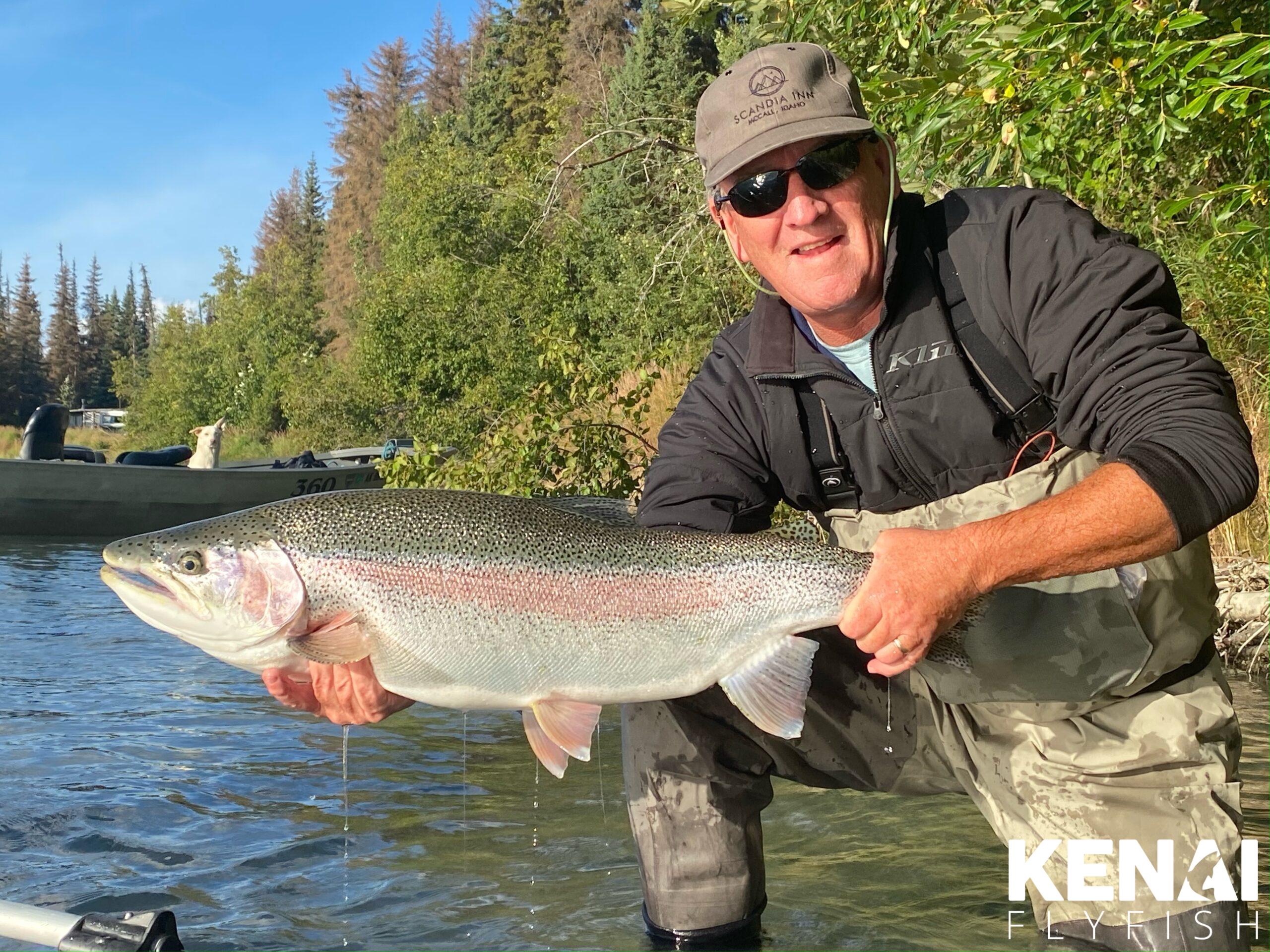 Rainbow Trout Photos - Kenai Fly Fish