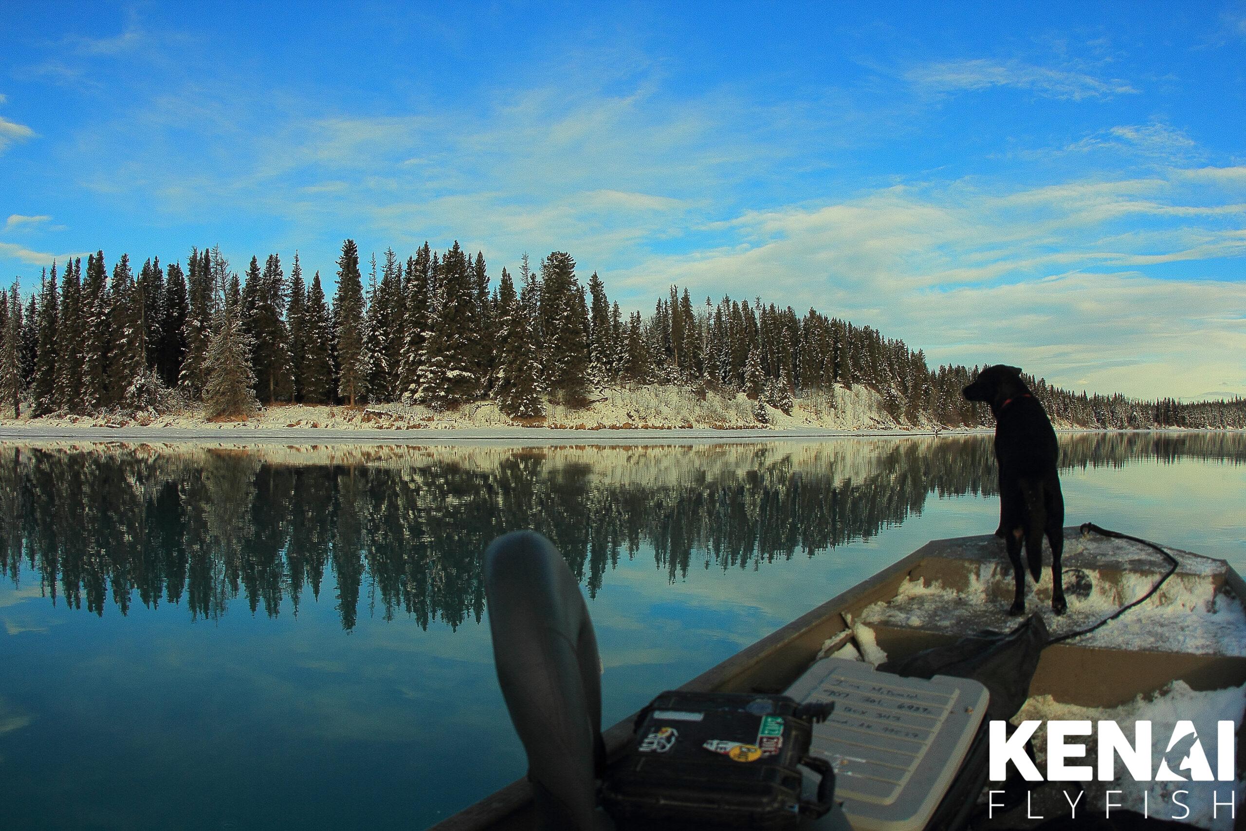 2024 Alaska Fishing Forecast - Alaska Fishology - Kenai River