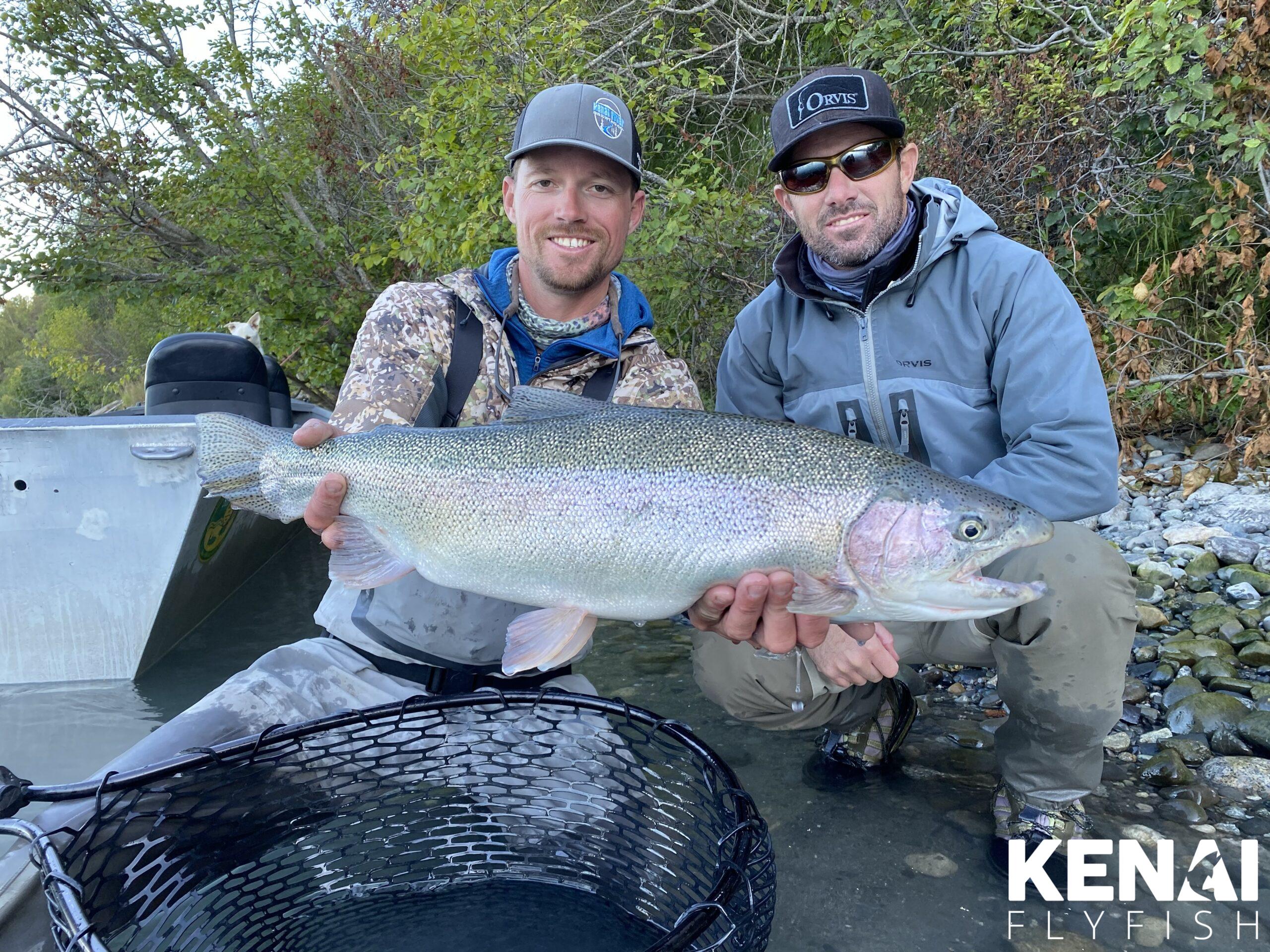 Rainbow Trout Photos - Kenai Fly Fish