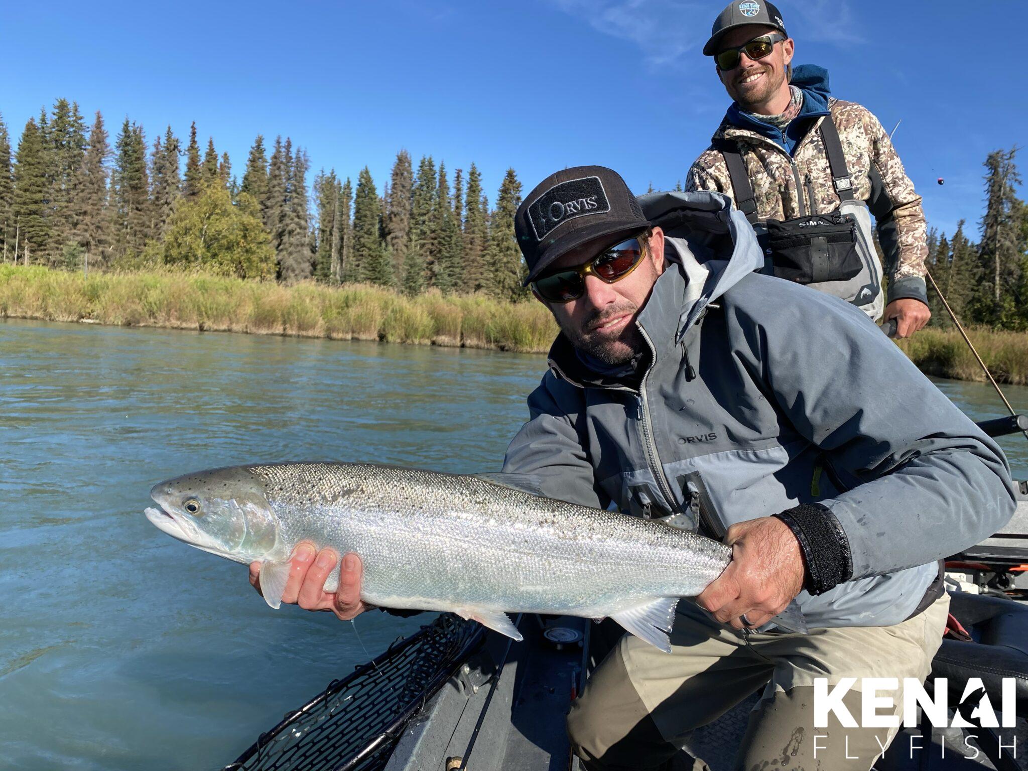 Kenai River Steelhead - Kenai Fly Fish